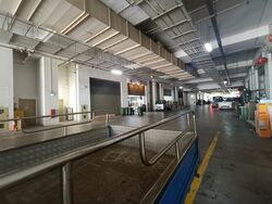 North Spring Bizhub (D27), Factory #522171061